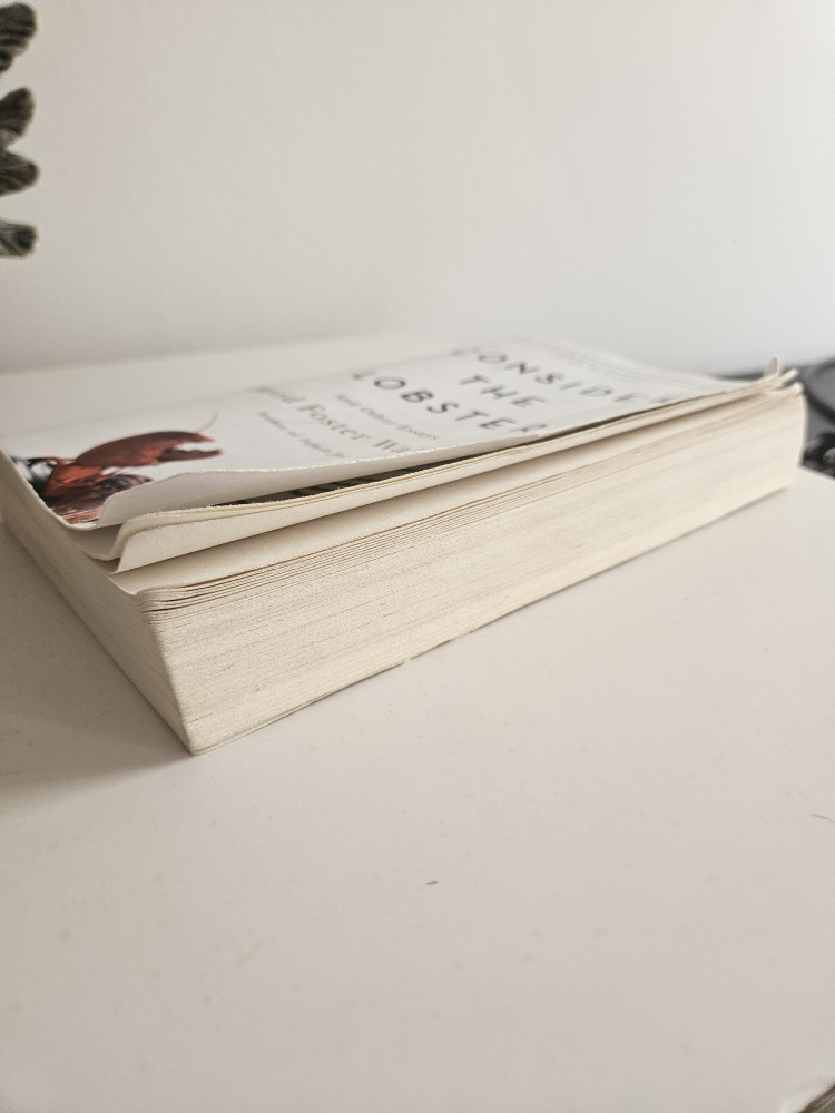 Consider the Lobster essays by David Foster Wallace #freecycle - photo 4