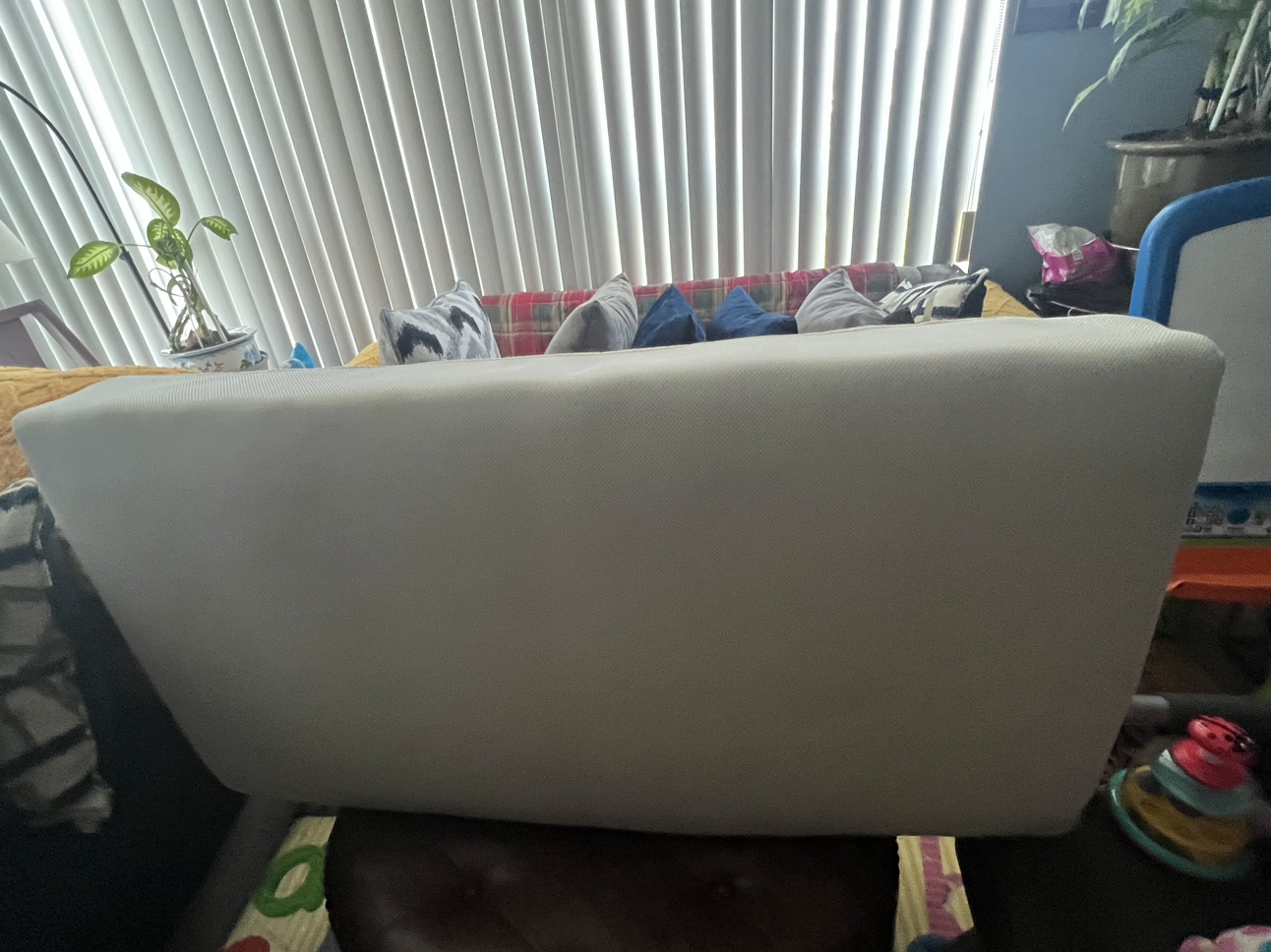 CRIB image indicator(2)