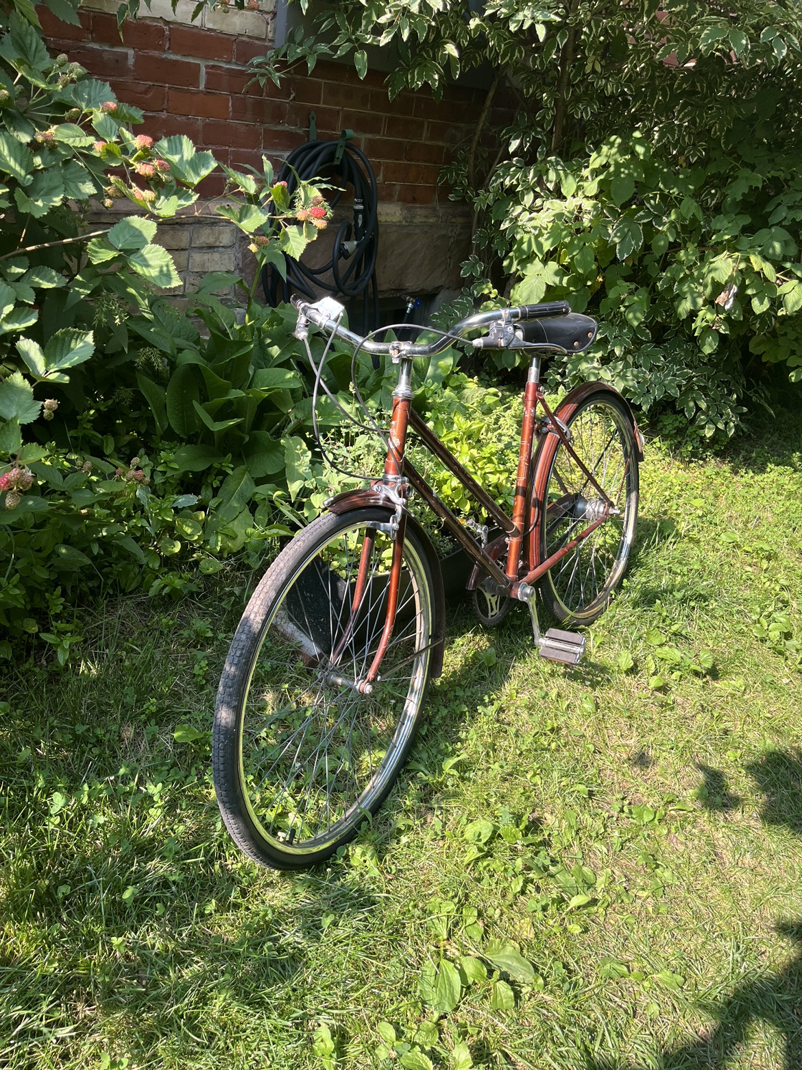 Raleigh women’s bike thumbnail