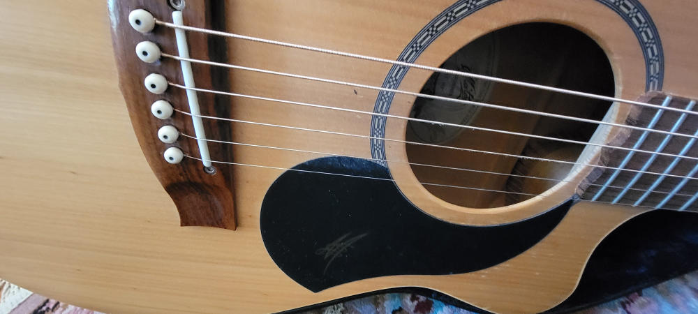 Two Guitars 🎸 - photo 4