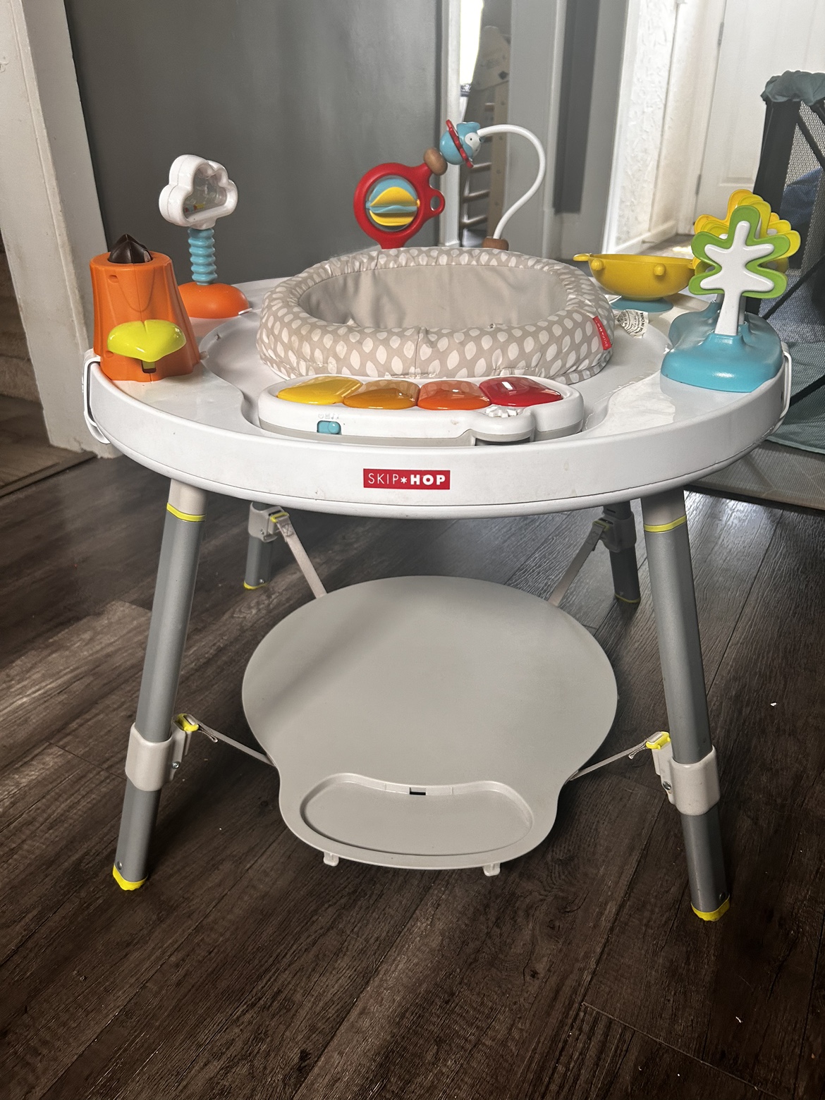 Skip Hop Activity Centre