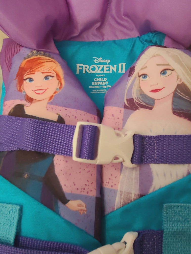 💙Frozen Life Jacket💙 image indicator(2)