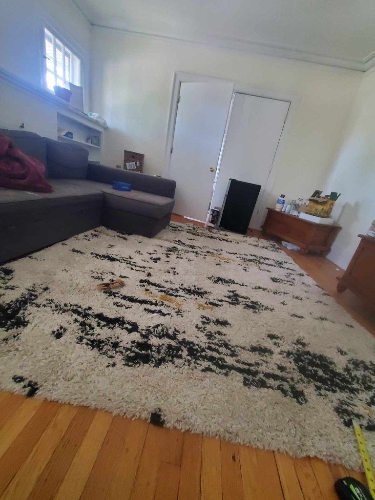 Living room rug