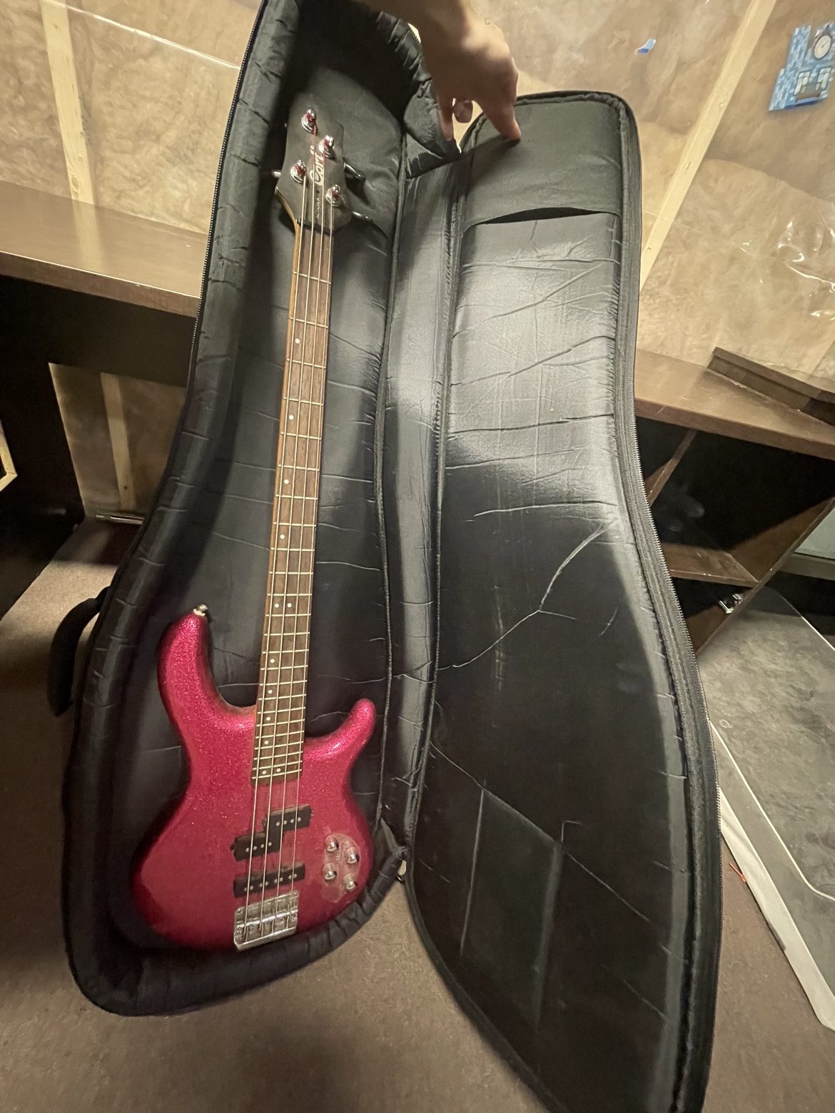 Bass Guitar