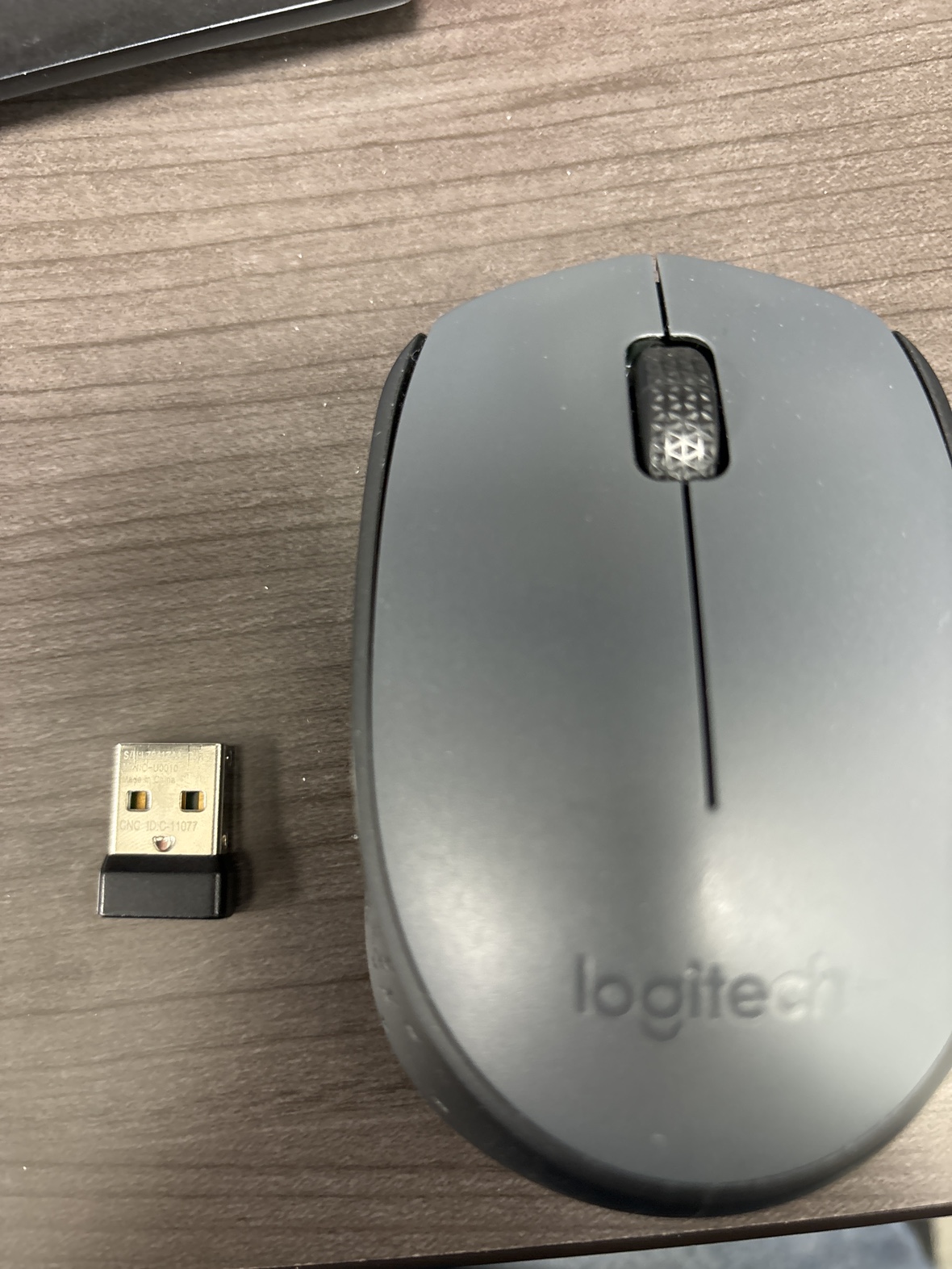 Mouse for sale