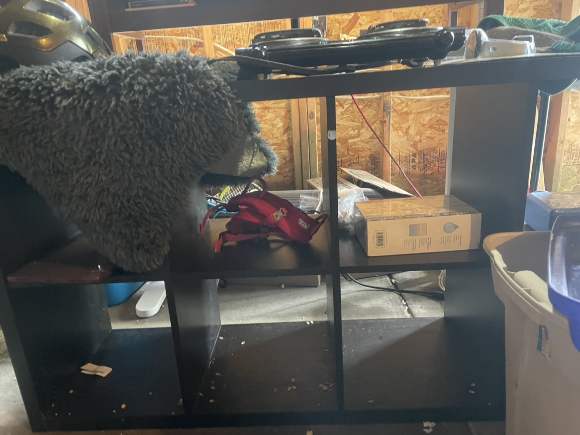 Urgent sale IKEA wooden shelf image indicator(2)