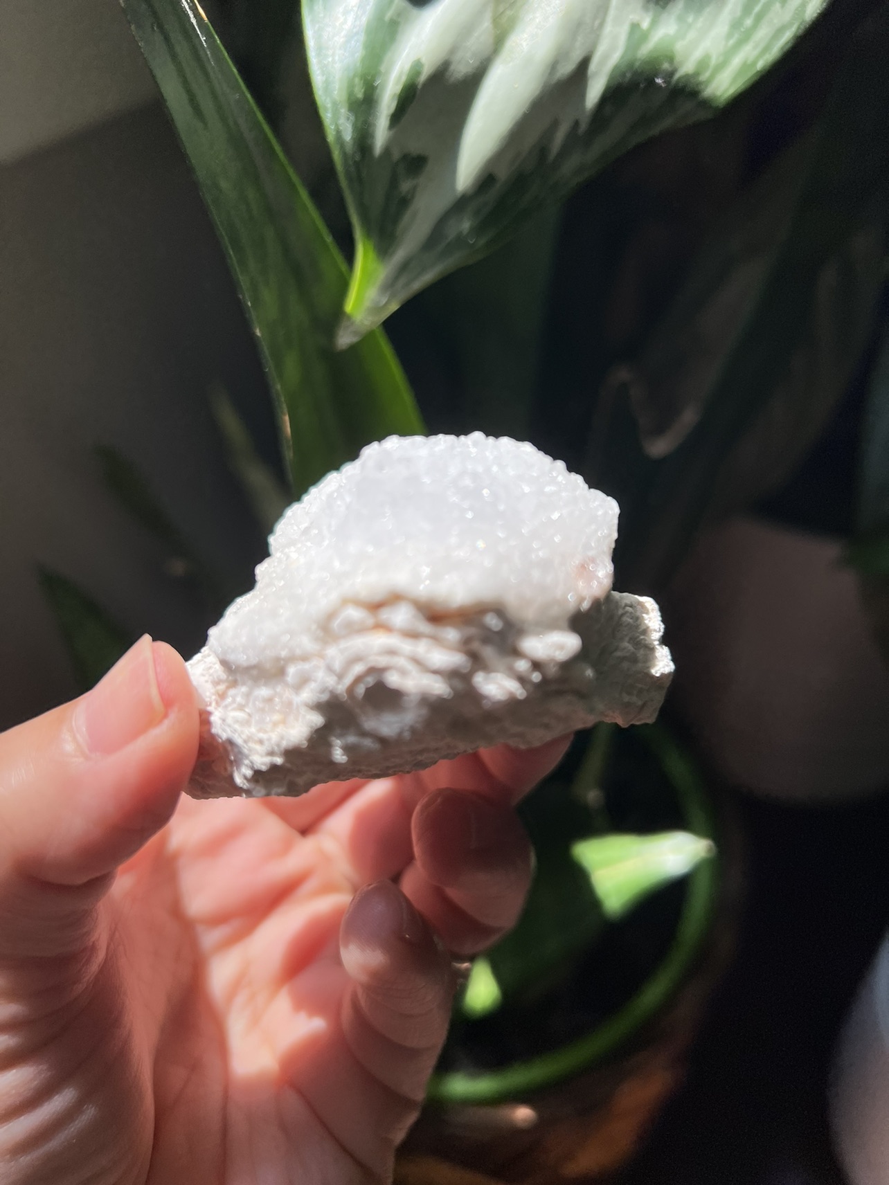 Clear quartz specimen (d) | crystal image indicator(5)