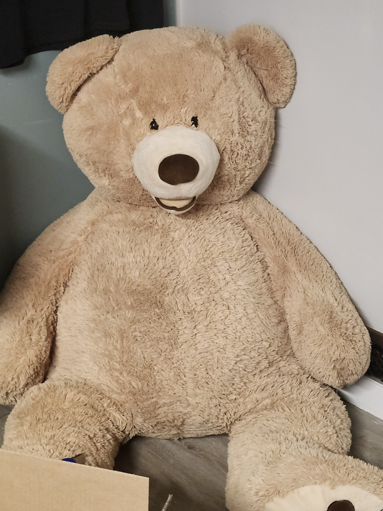 Huge Teddy Bear 🧸 thumbnail