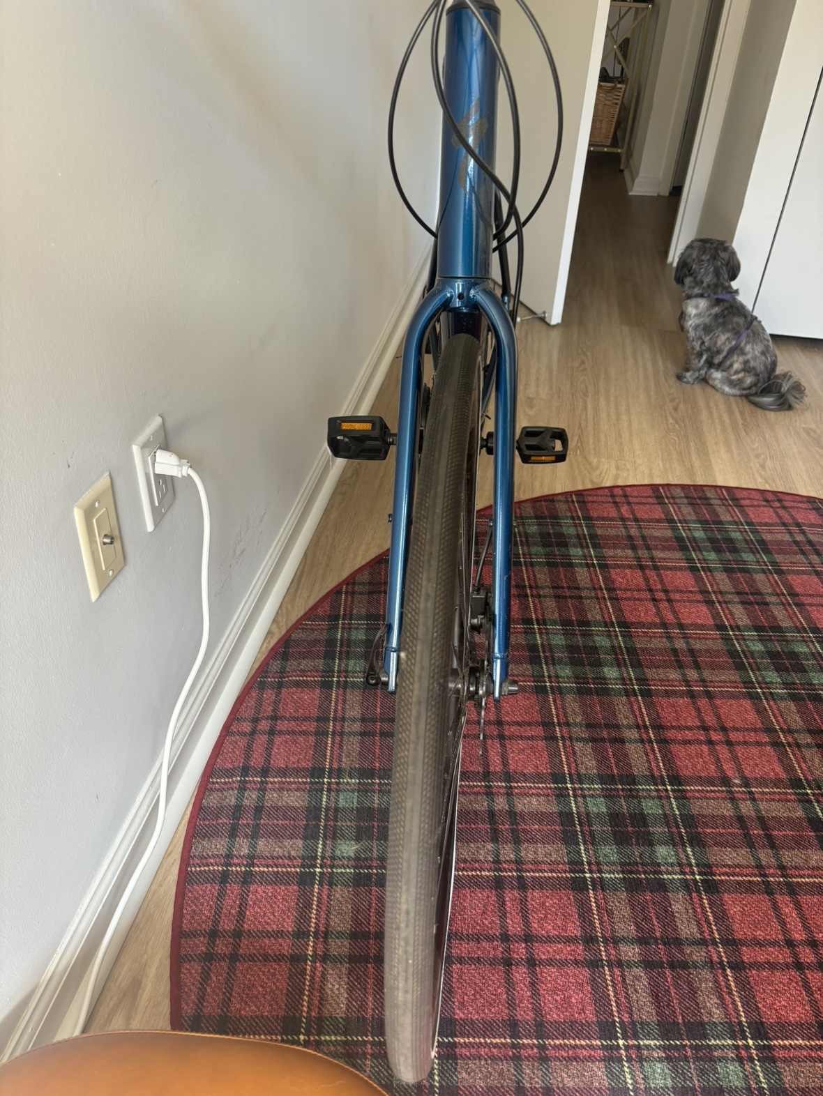 Specialized Crossroads Hybrid XL - photo 4