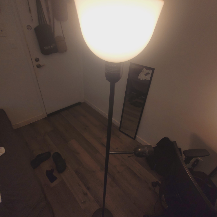 Floor lamp (MOVING OUT SALE) - photo 4