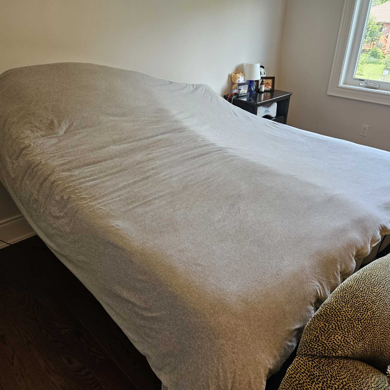 King Size (2 Twin XL) adjustable Ghost Beds with Mattress