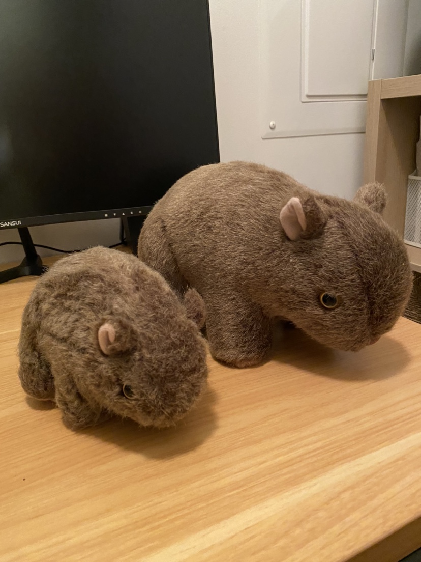 Wombat soft toys Australian souvenirs thumbnail