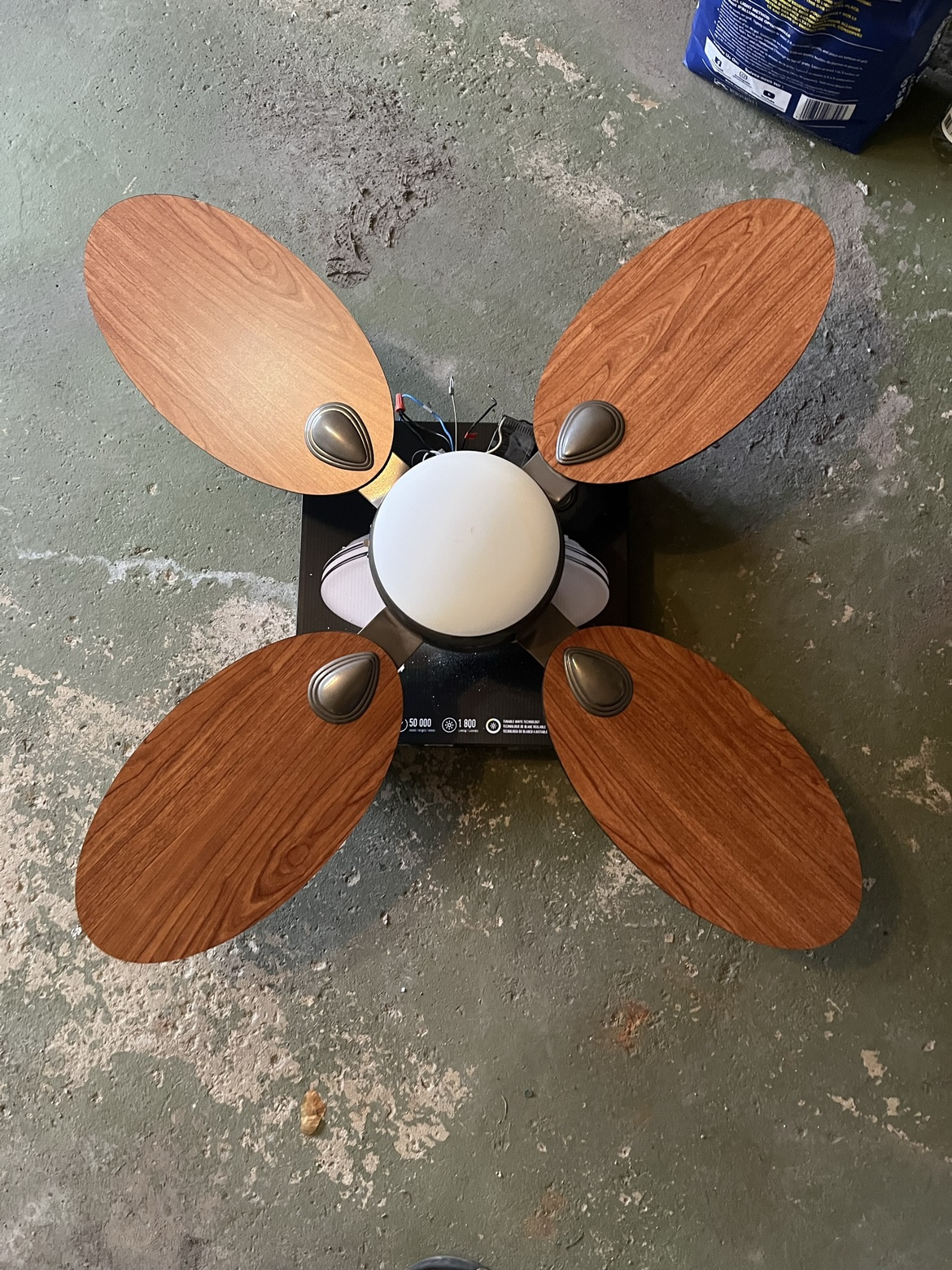 Pair of Ceiling Fans with light. - photo 5