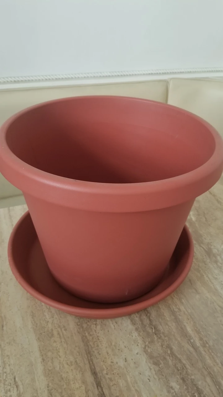 Starter Grower Kit