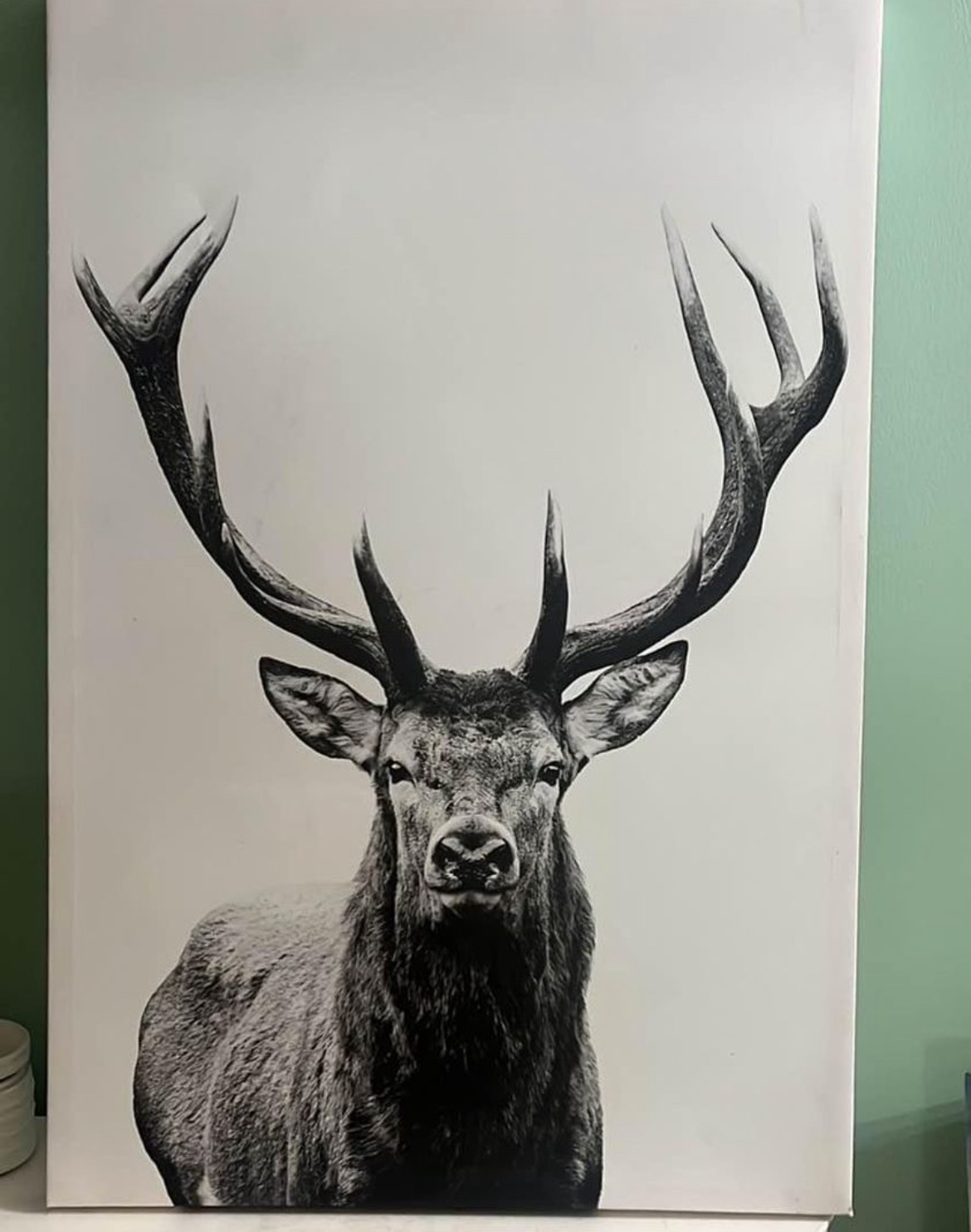Deer canvas print thumbnail