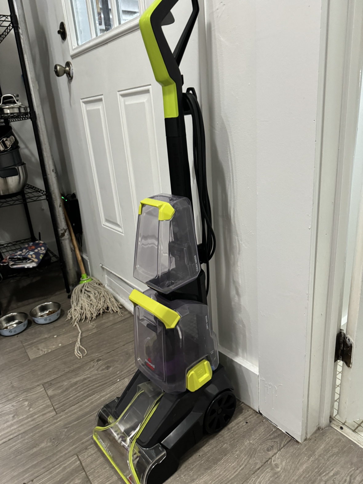 Bissell Turbo Clean Powerbrush - photo 2