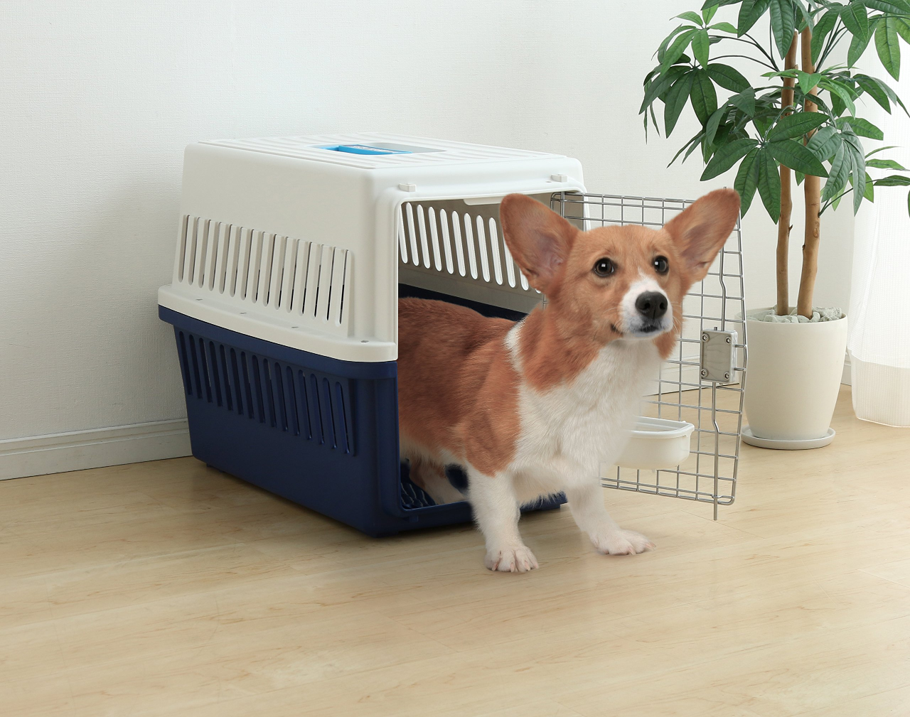 IRIS USA Medium Deluxe Pet Travel Carrier - photo 4