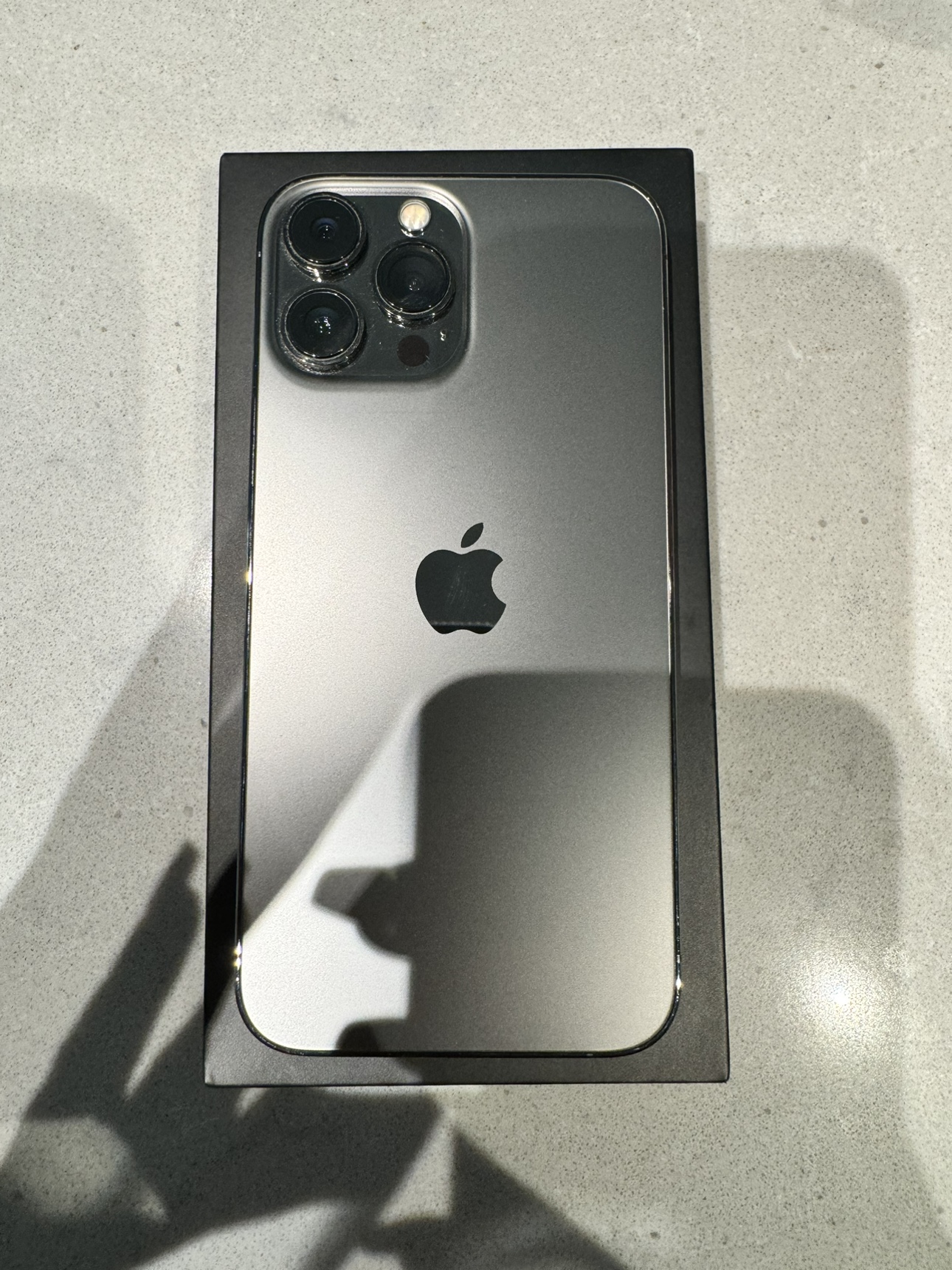 iPhone 13 Pro Max 256GB