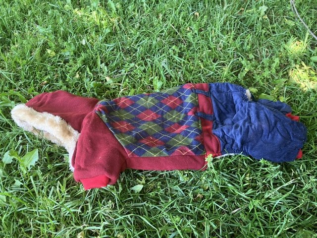 New dog jackets