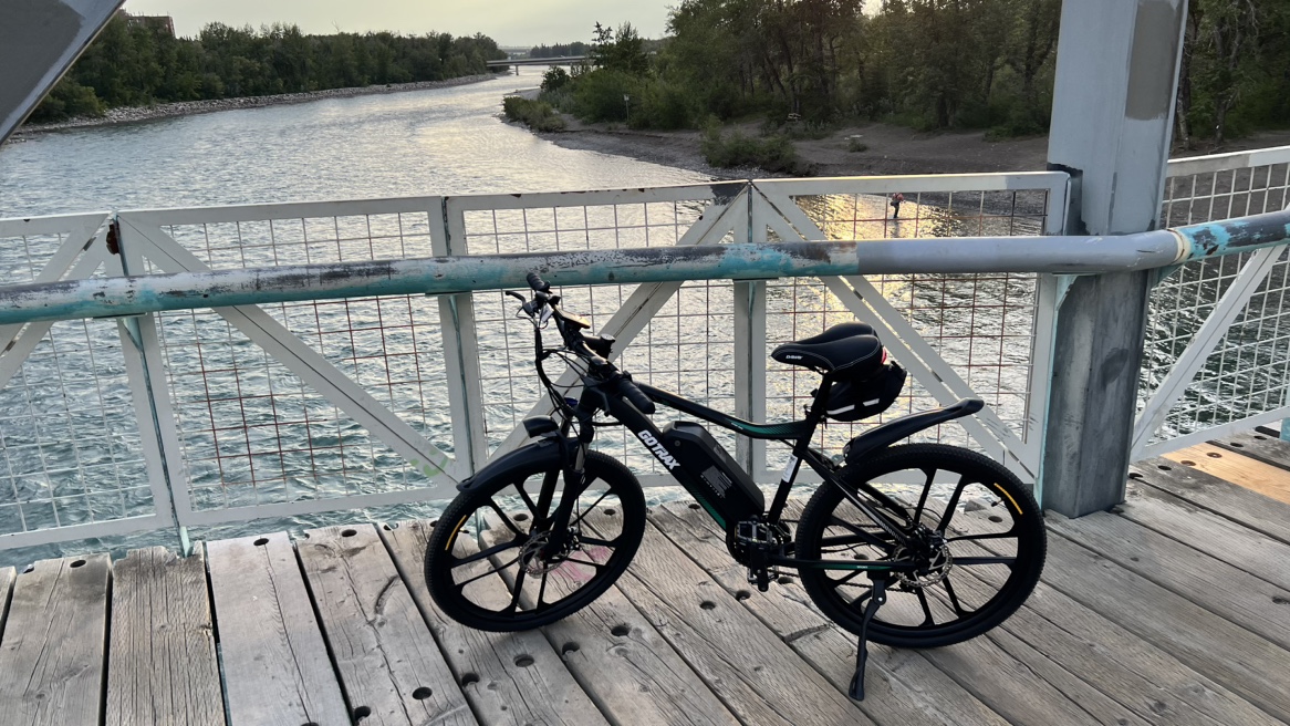Ebike - photo 2