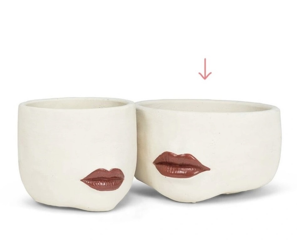 NEW - Low Red Lip Planter image indicator(2)
