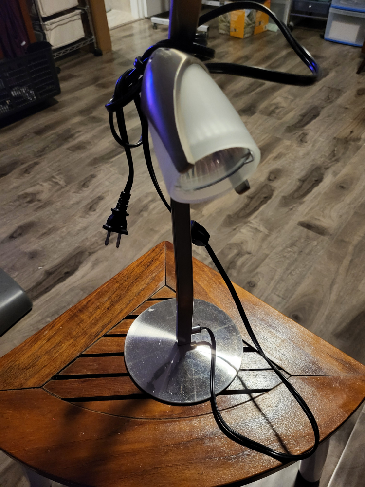 lamp - photo 3