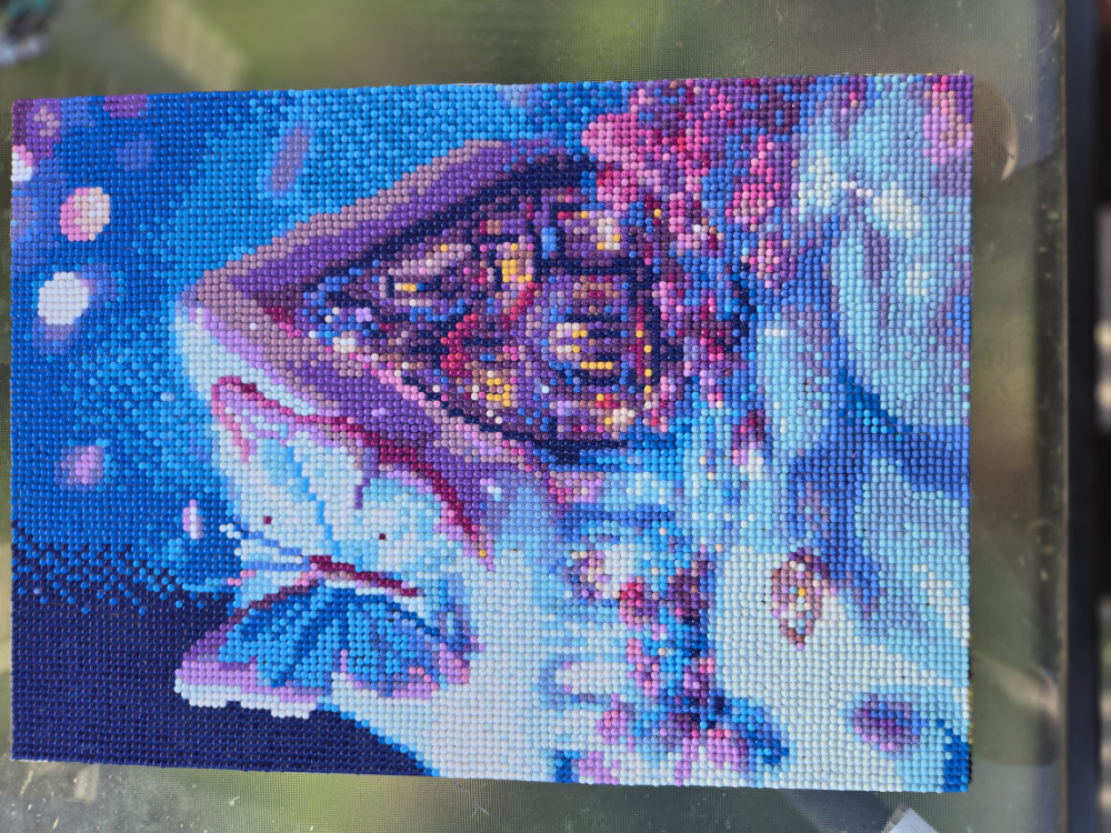 house withBlue  white butterfly diamond painting image indicator(2)