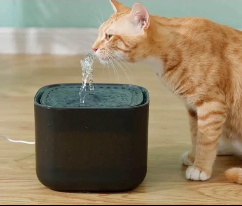 Pet Water Fountain