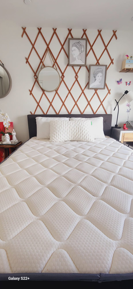 Queen Bed and Matress