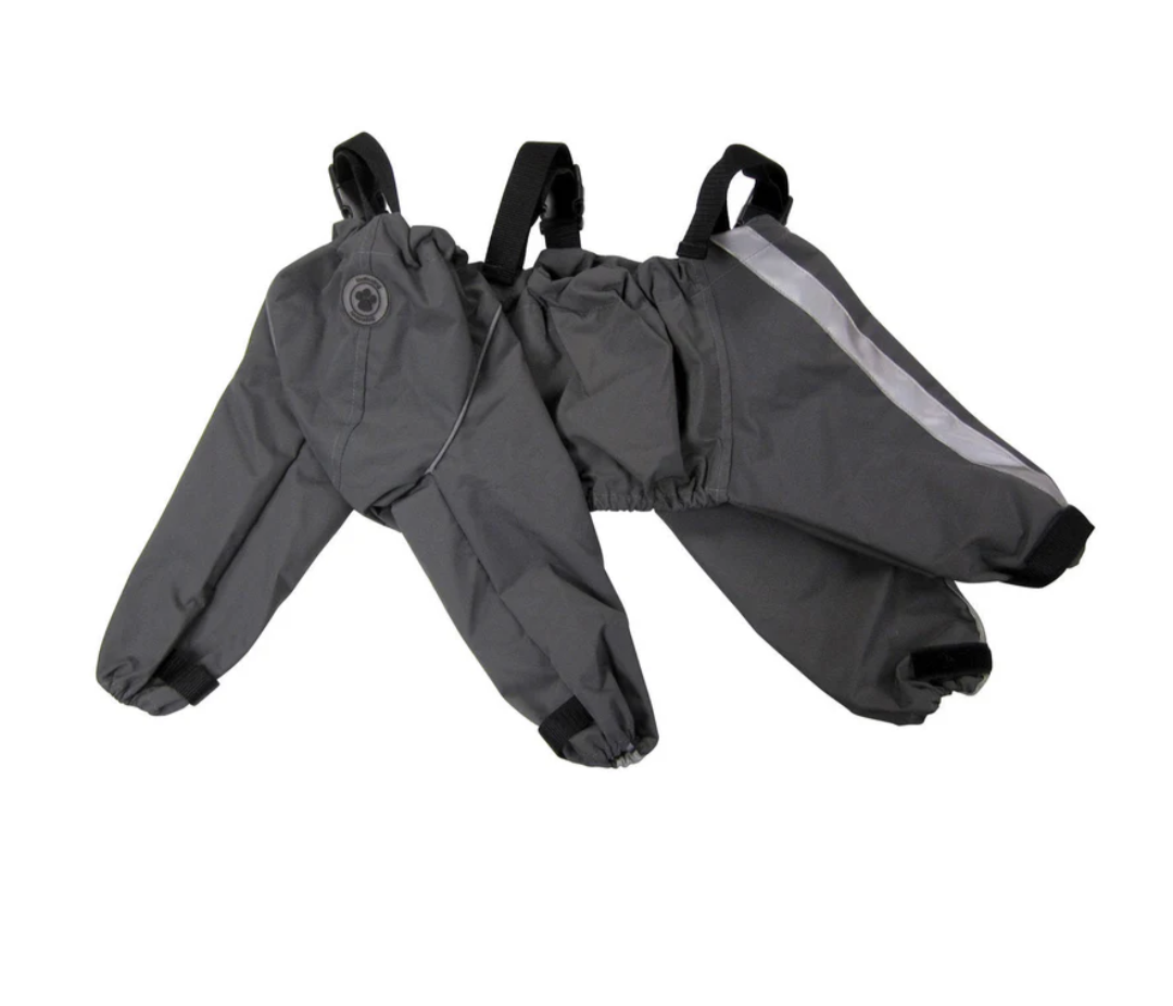 All weather dog pants