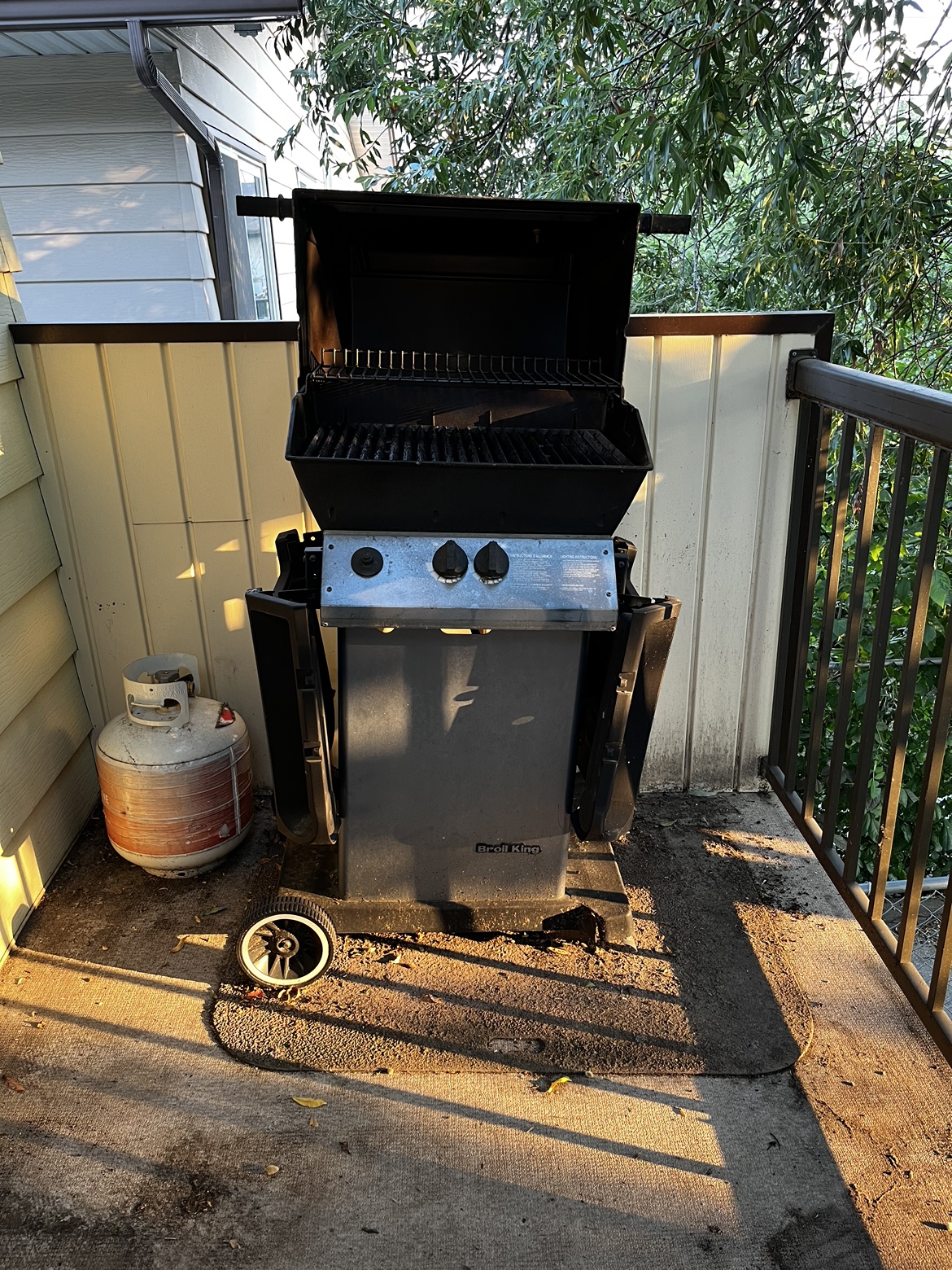 Free BBQ - photo 3