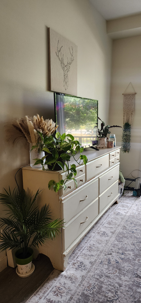 Rustic Dresser and Night Stand (1)