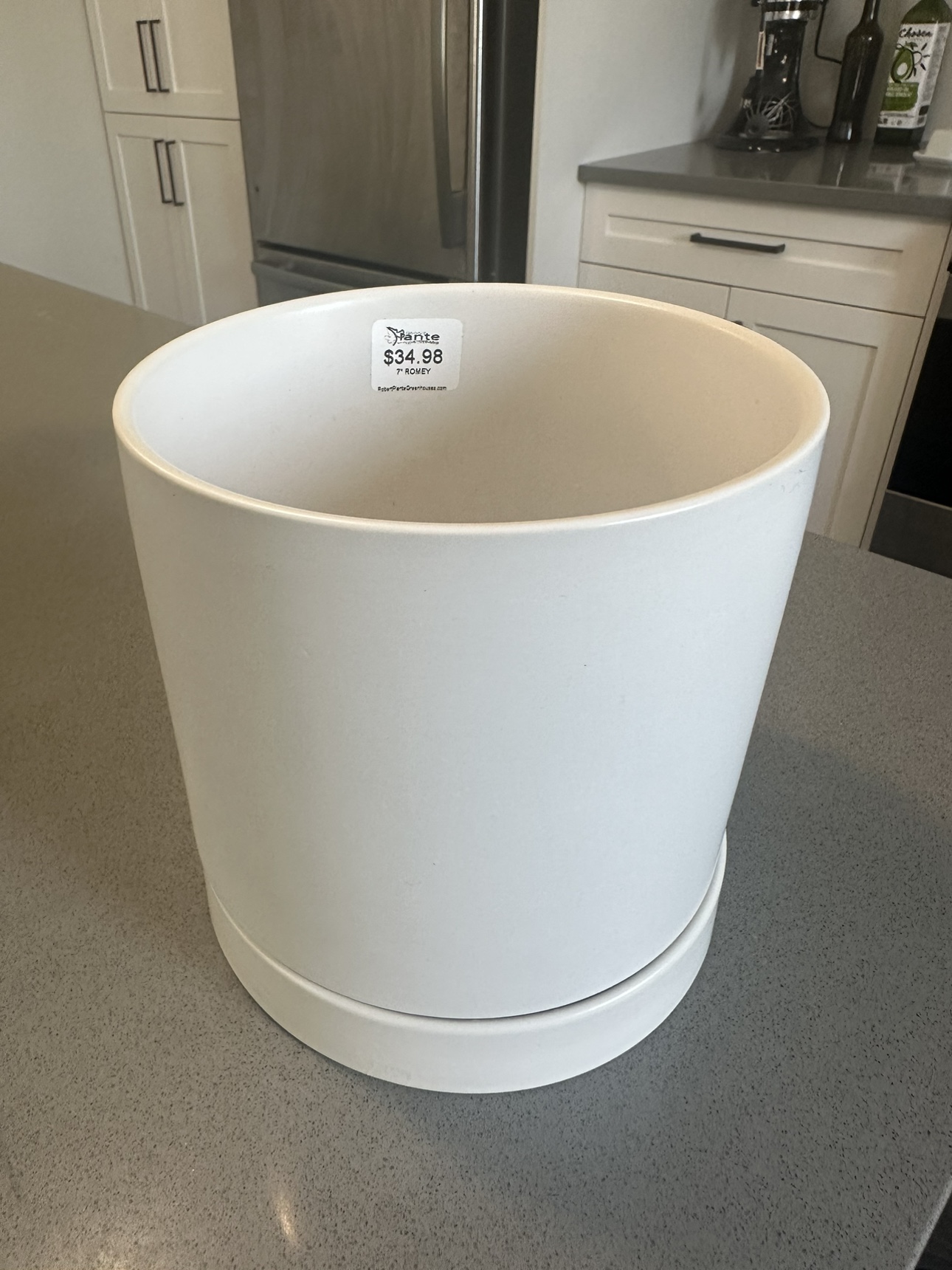 Plant pot / vase