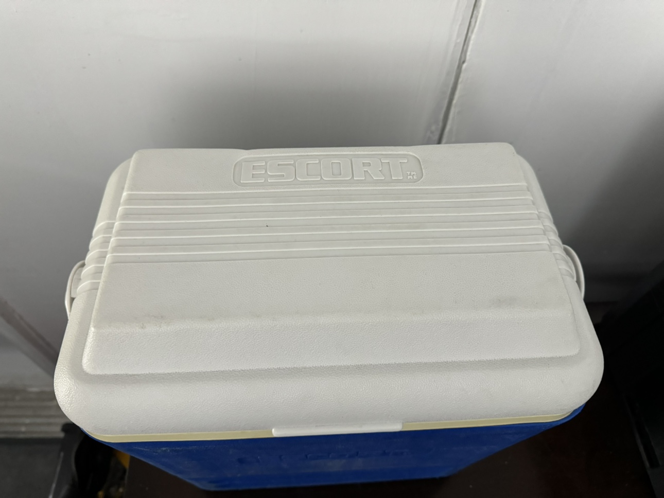 Cooler, around 12 bottle capacity - photo 2