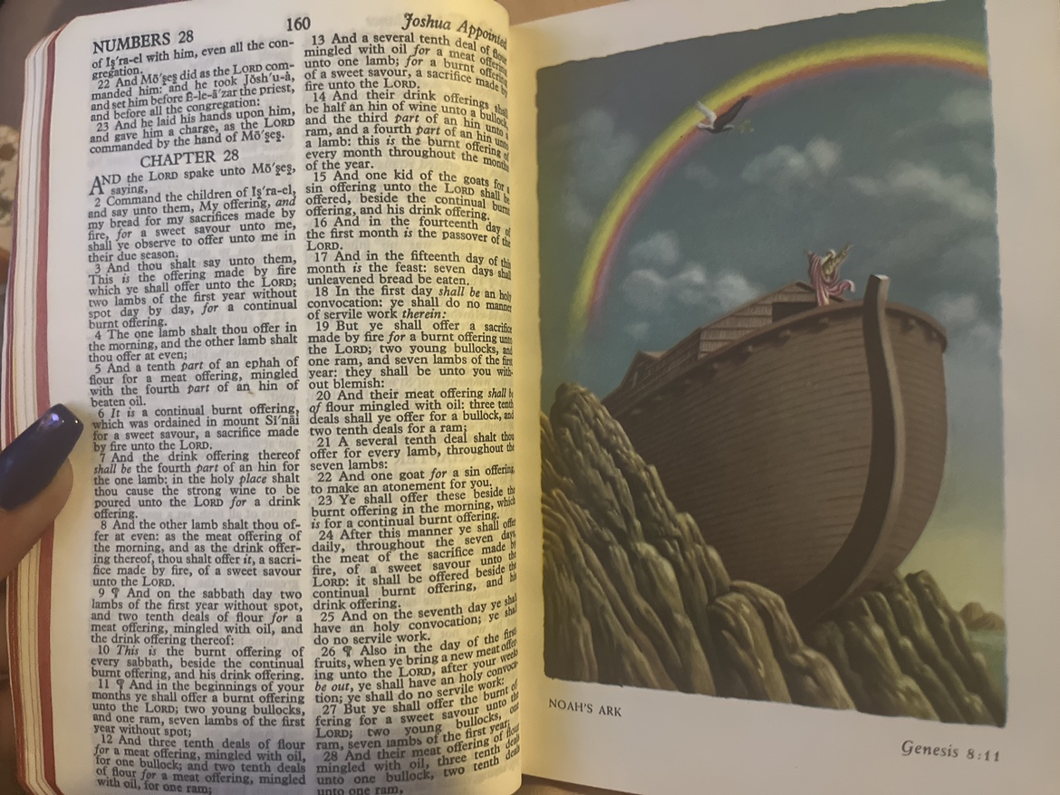 Illustrated bible - photo 3