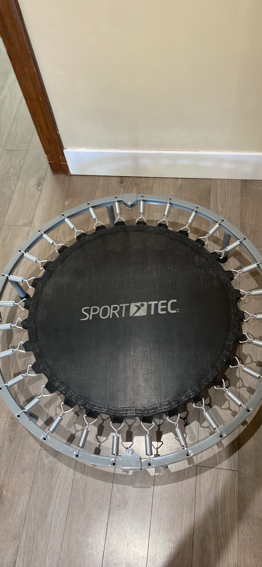 Mini Trampoline