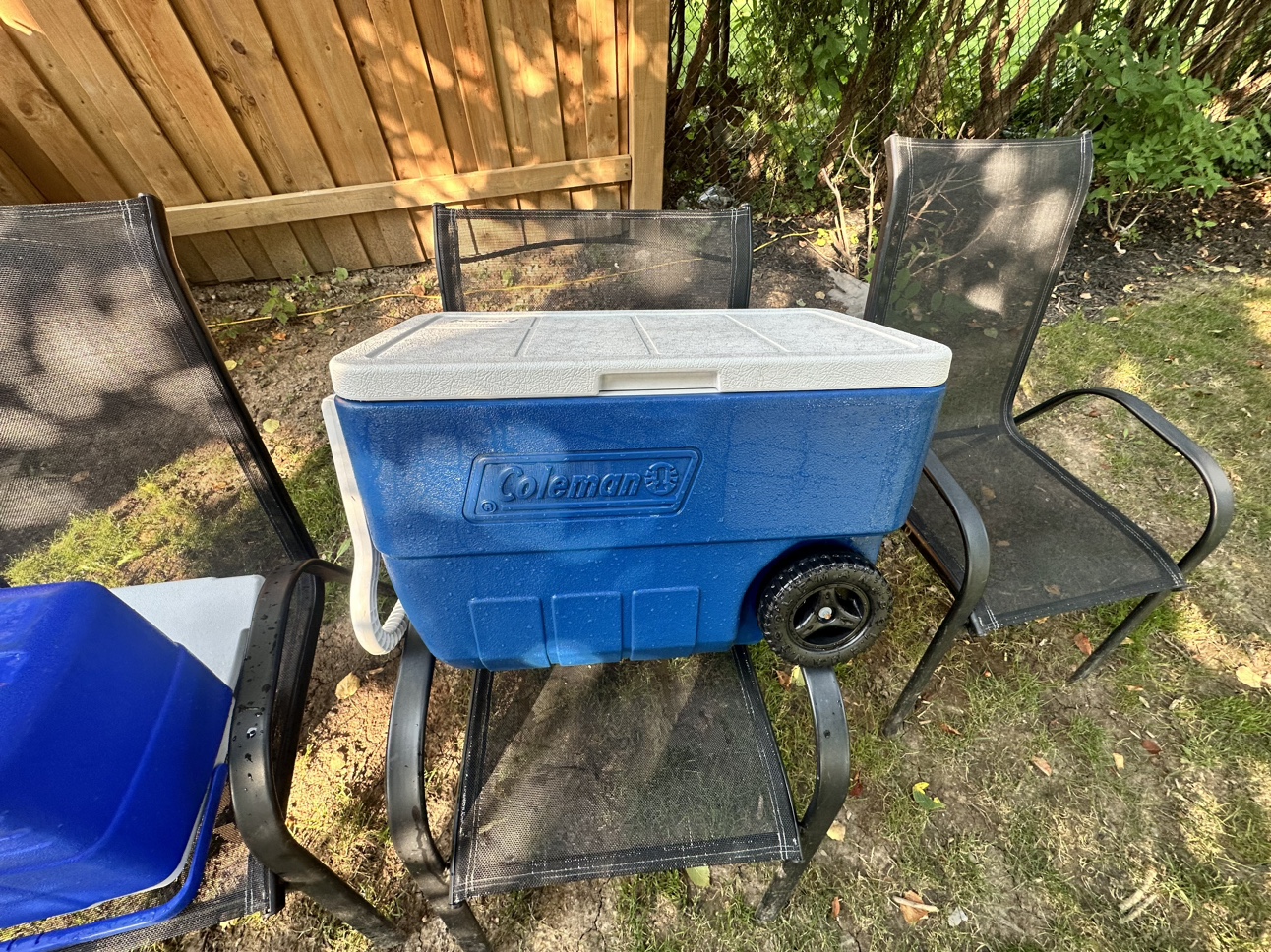 Coleman cooler with wheels thumbnail