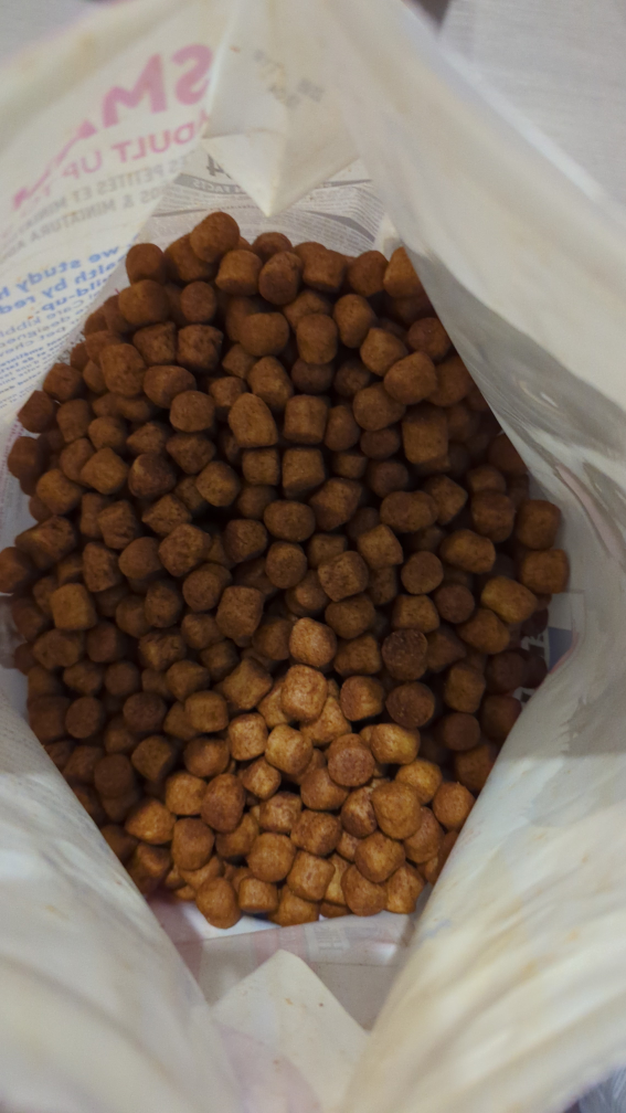 Science Diet Small And Mini Oral Care Kibble - photo 3