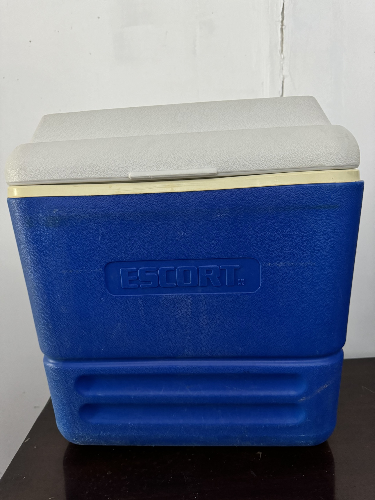 Cooler, around 12 bottle capacity
