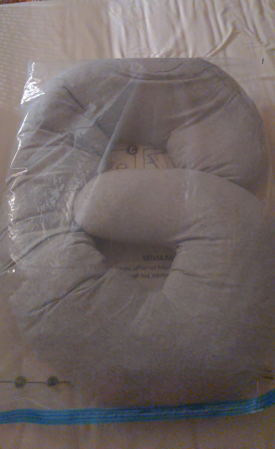 Pregnancy pillow #freecycle