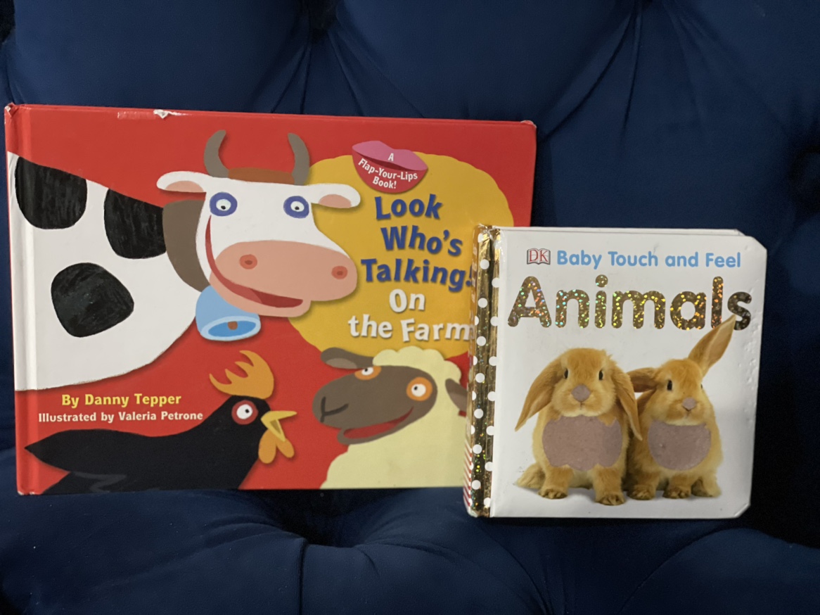 Kids animal books🥕
