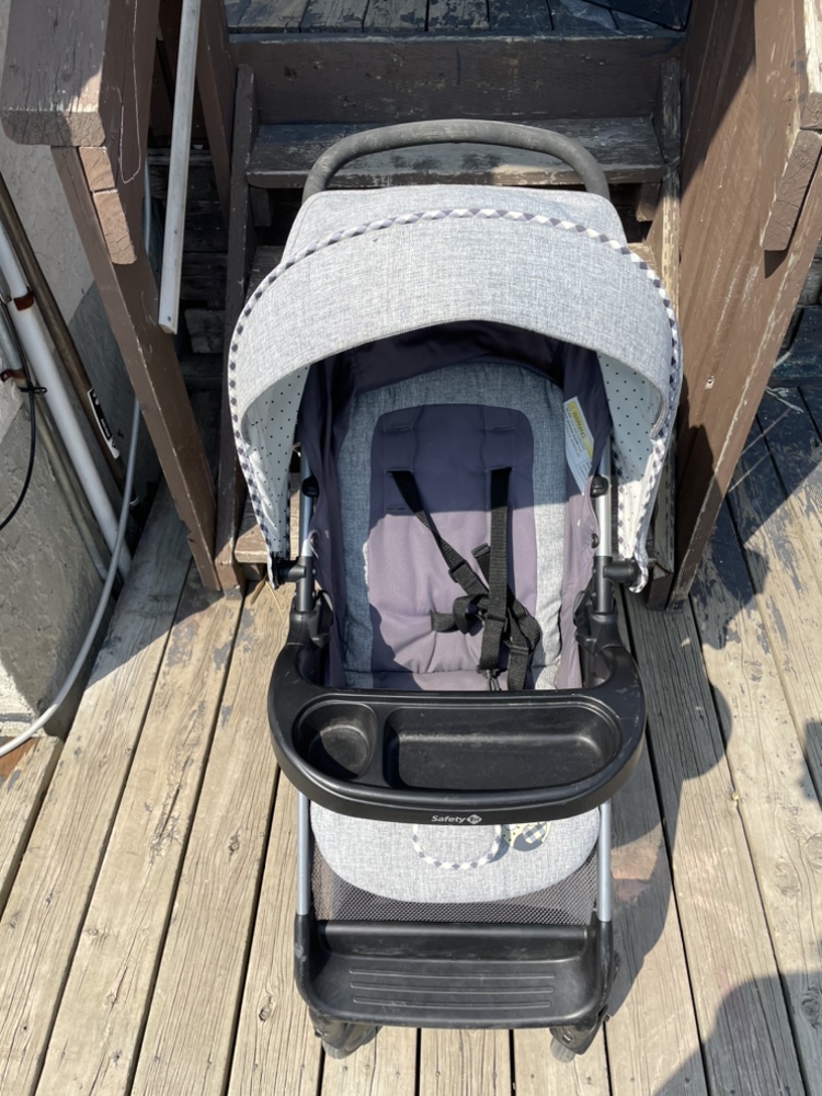 Newborn Stroller and Car Seat - photo 4