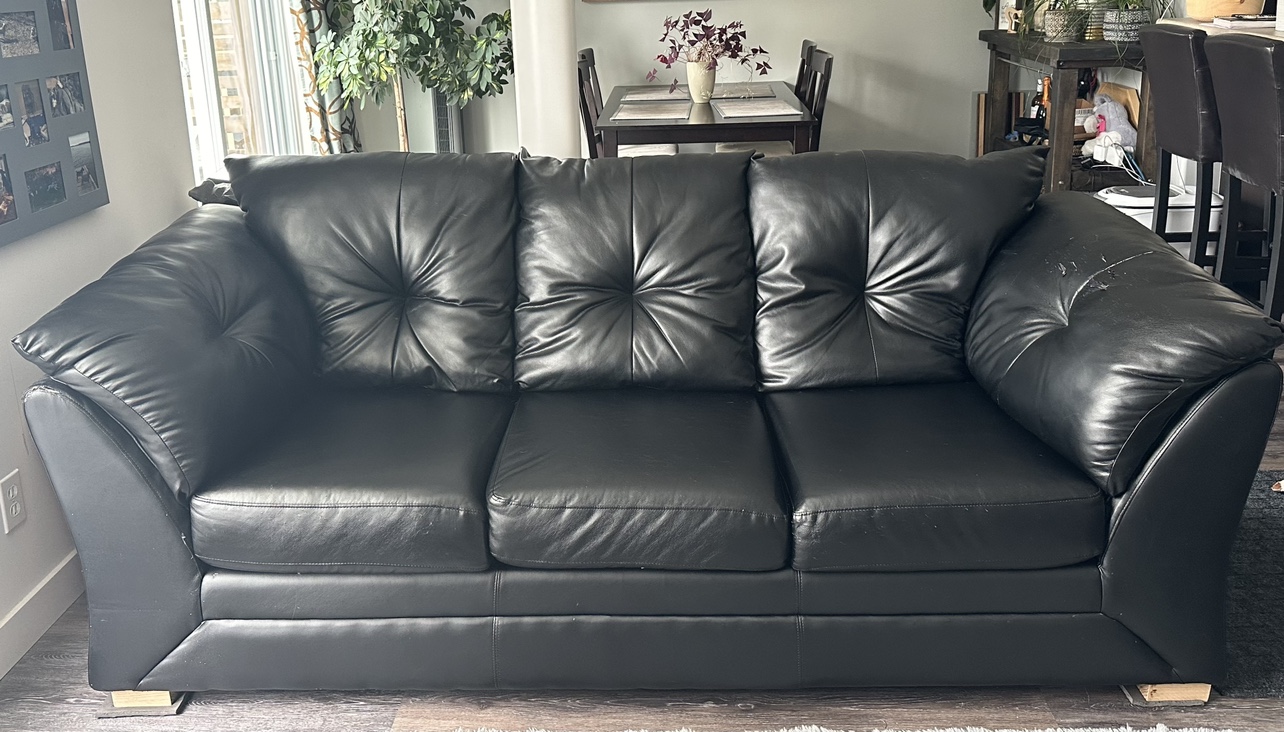 Leather couch
