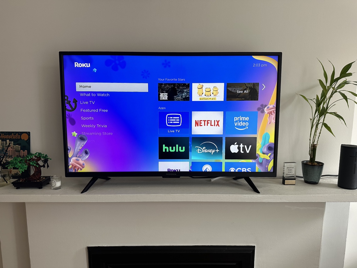TV Insignia 42 inch