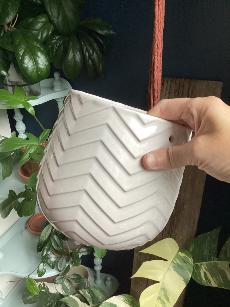 Collection of Plant Pots image indicator(5)