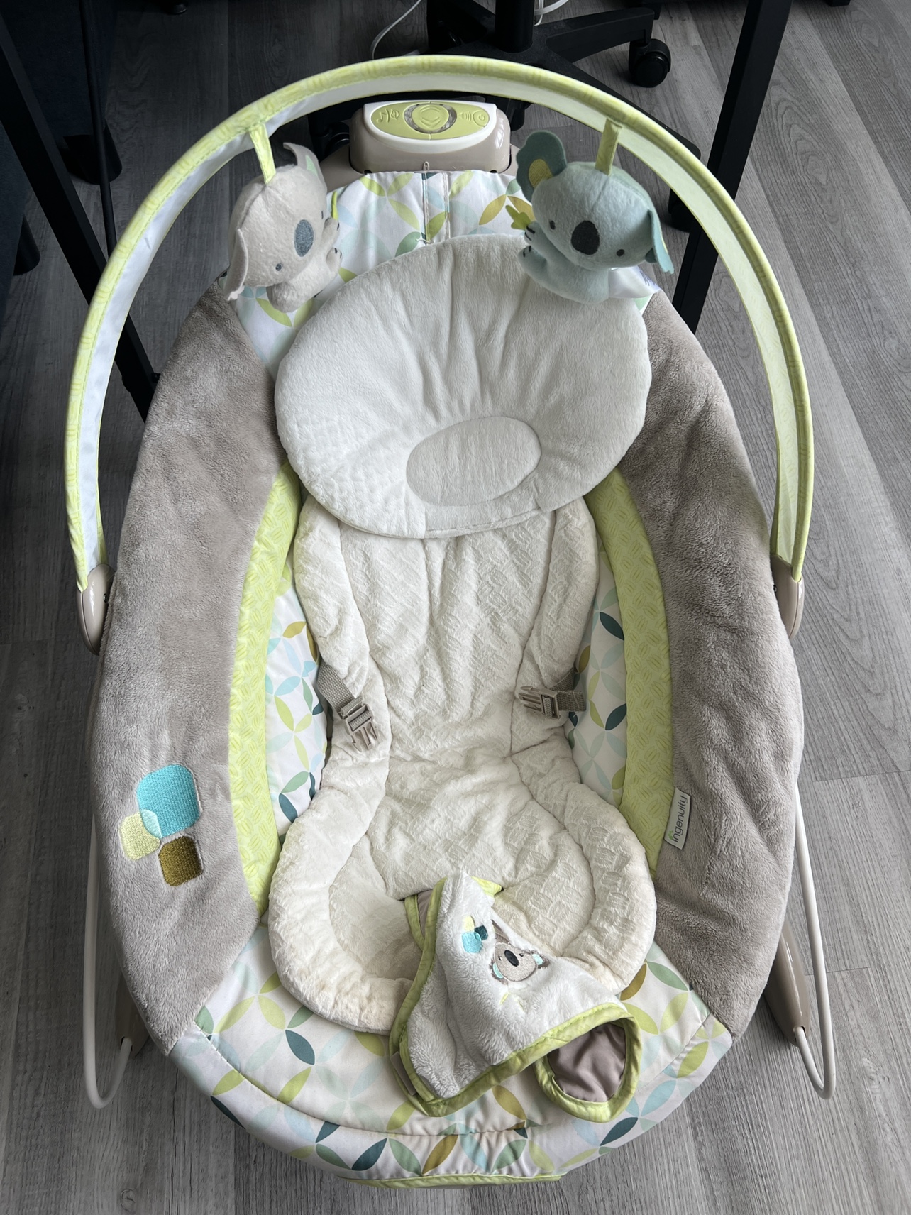 Ingenuity Baby Bouncer