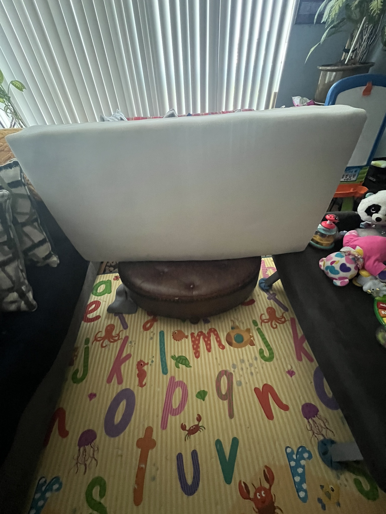 CRIB image indicator(4)