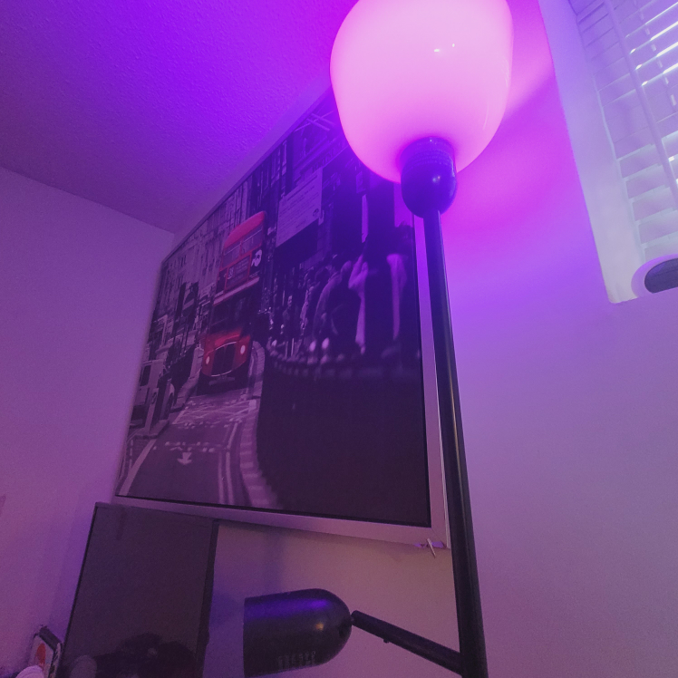 Floor lamp (MOVING OUT SALE) - photo 3