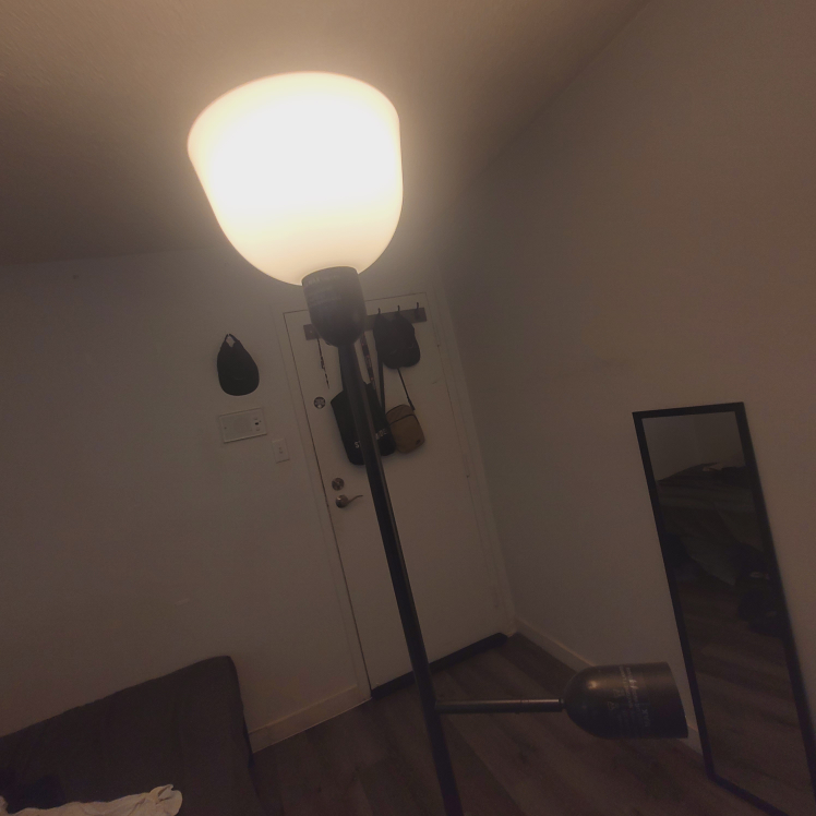 Floor lamp (MOVING OUT SALE) - photo 5