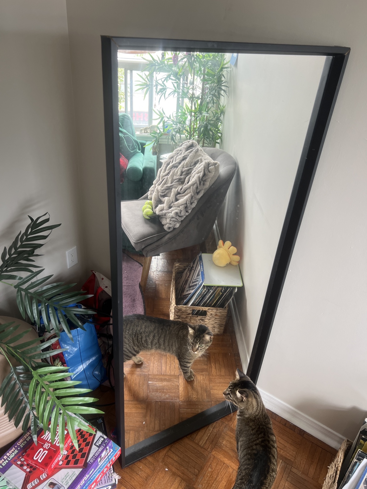 Tall Black Frame Mirror - photo 2